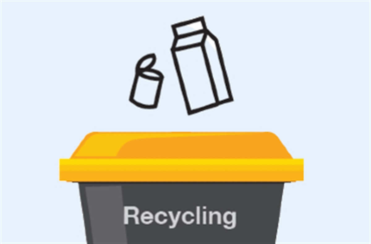 What goes in my recycling bin? Frankston City Council