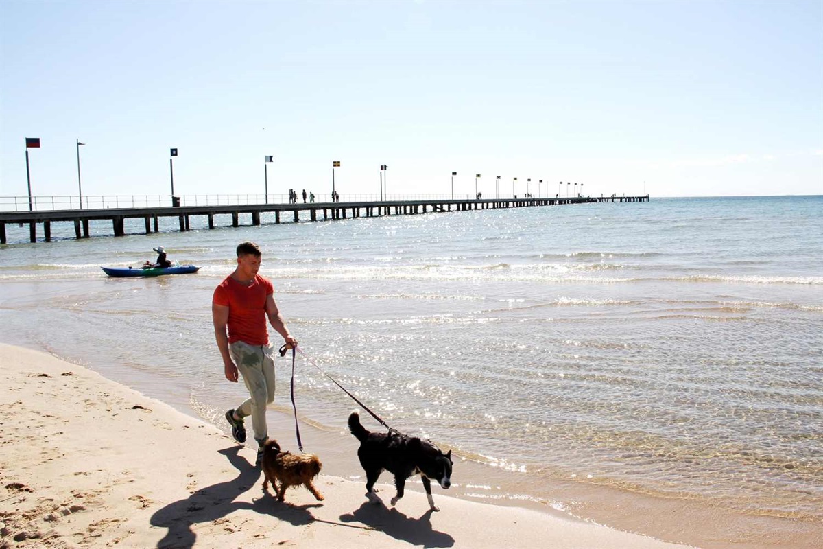 are dogs allowed at frankston beach