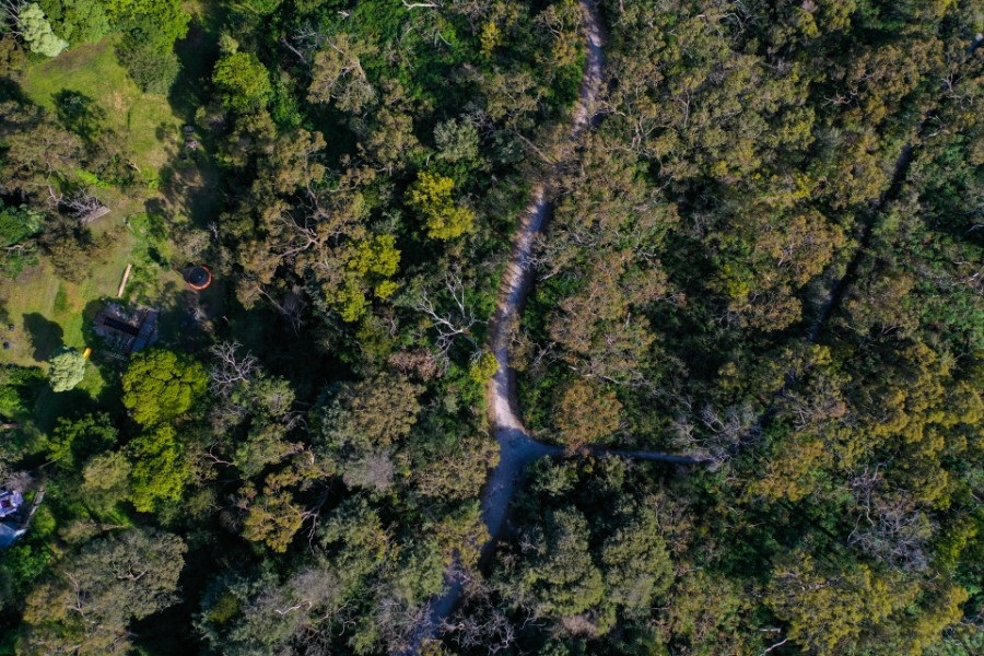 Sweetwater Creek Image