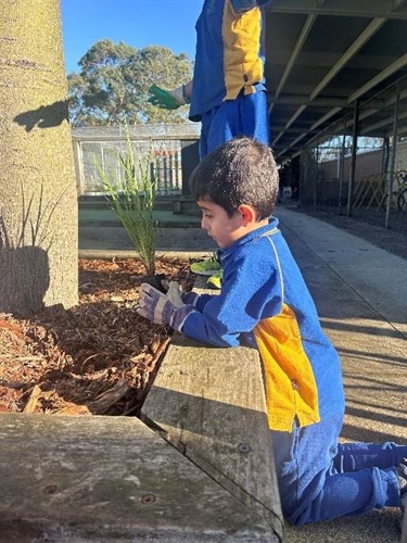 National Tree Day for Schools 2024 1