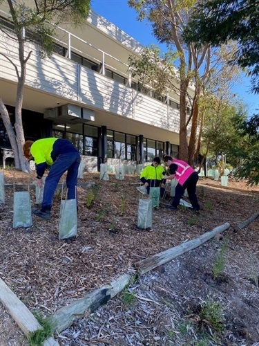 National Tree Day for Schools 2024 2