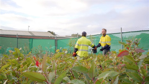 Men working in garden nursery with plants