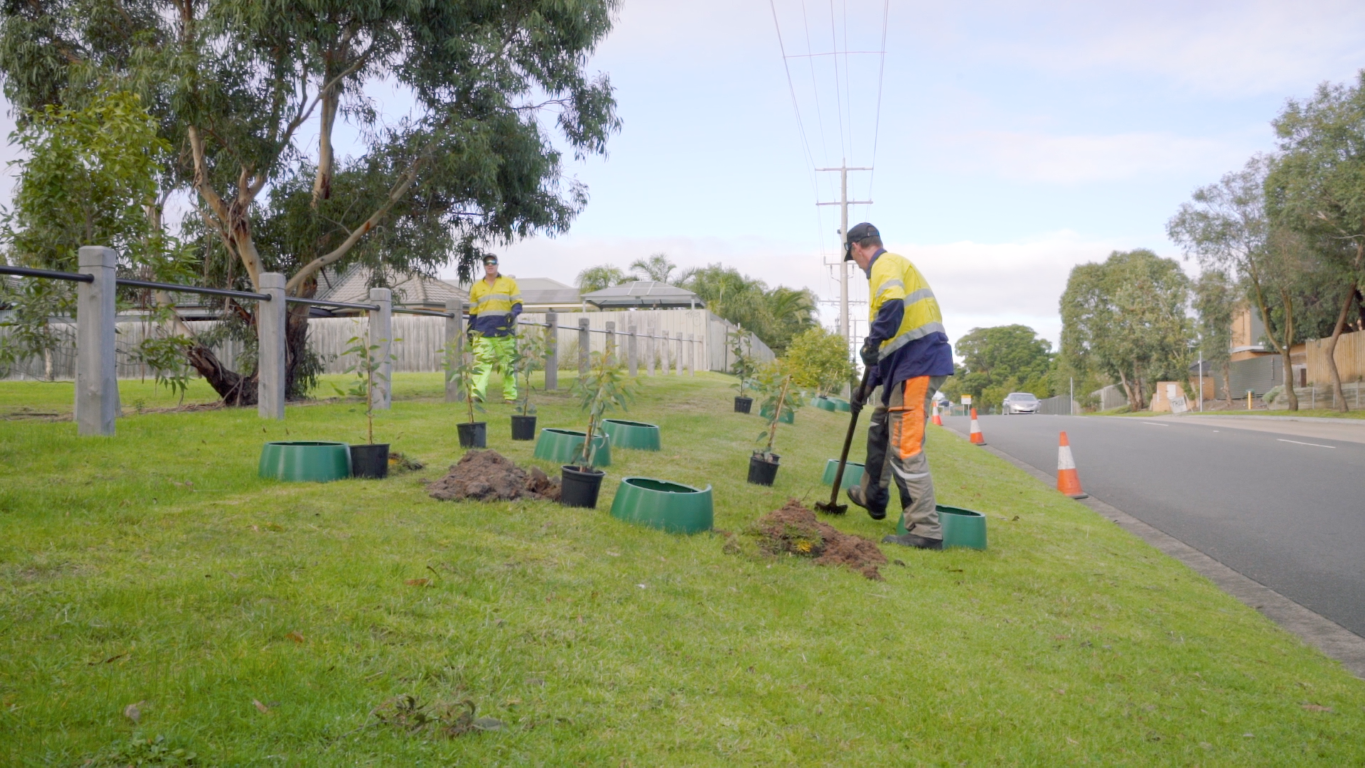 Tree Planting