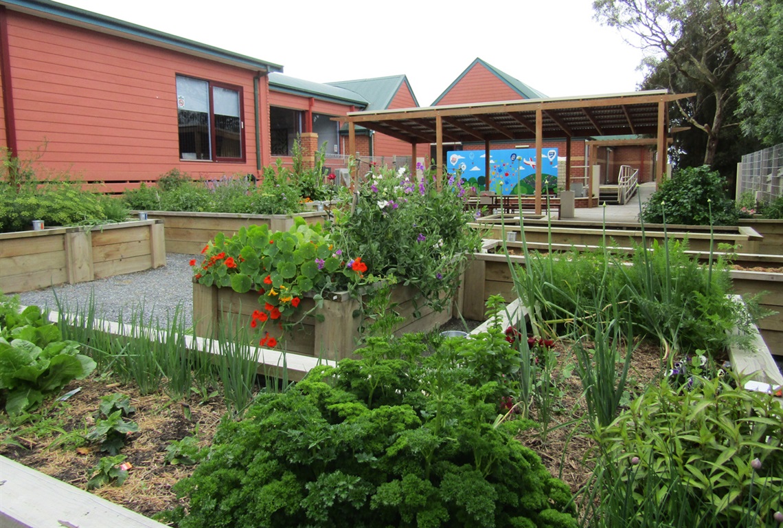 Backyard Community Garden view of feature wall