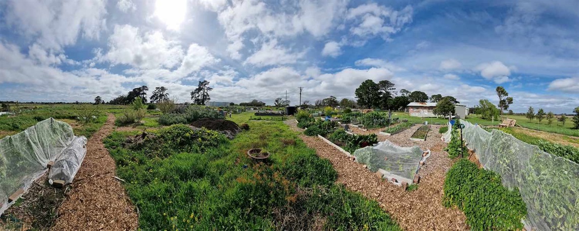 Downs Estate community garden