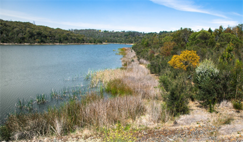 Frankston Nature Conservation Reserve