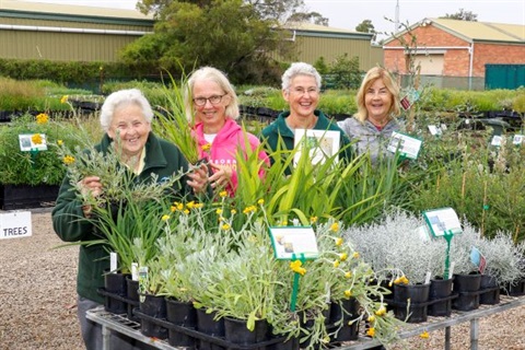 indigenous nursery