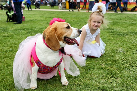 Child with dog on grass