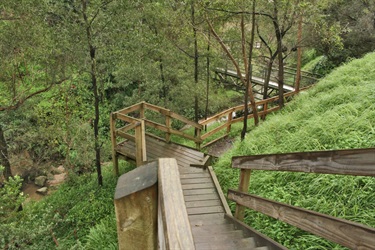 Sweetwater Creek Upper 1