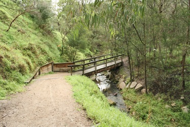 Sweetwater Creek Upper 2