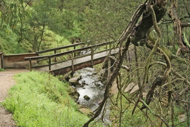 Sweetwater Creek Upper 3