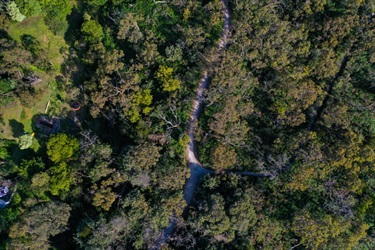 Sweetwater Creek Upper Aerial 1