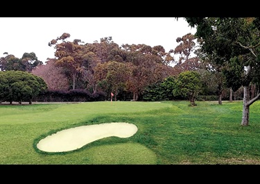 Centenary Park Artist Impression Hole 9