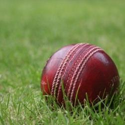 Cricket Ball