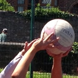 netball.jpg