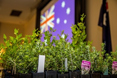 frankston_citizenship_ceremony.jpg