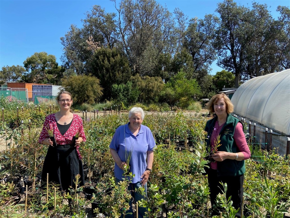 Frankston Indigenous Nursery Open Day 2024 Frankston City Council