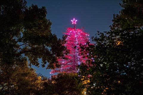 Christmas Tree Lighting