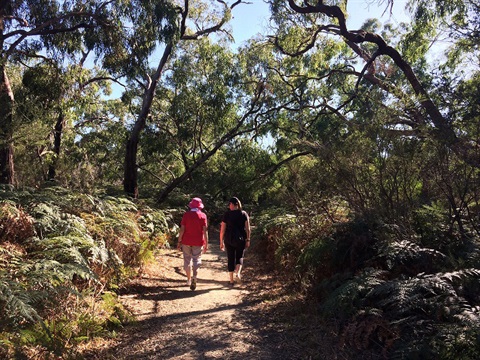 Langwarrin Flora and Fauna Reserve