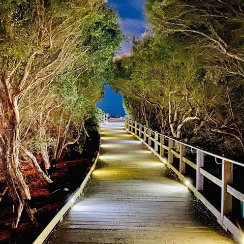 lighting on boardwalk