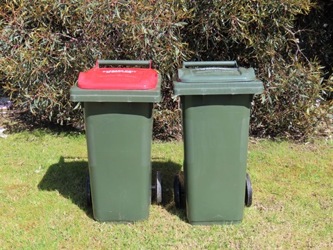 Red bin green bin