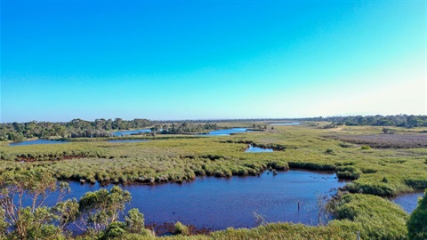 Seaford Wetlands